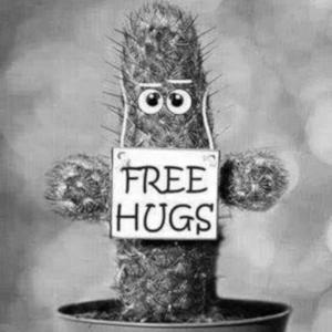 Un cactus con un letrero que ofrece abrazos gratis.