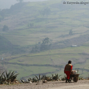 Foto de una mujer cargando una carretilla camino a Canta.