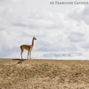 Fotografía de una vicuña en el horizonte